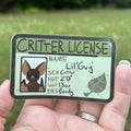 Critter License