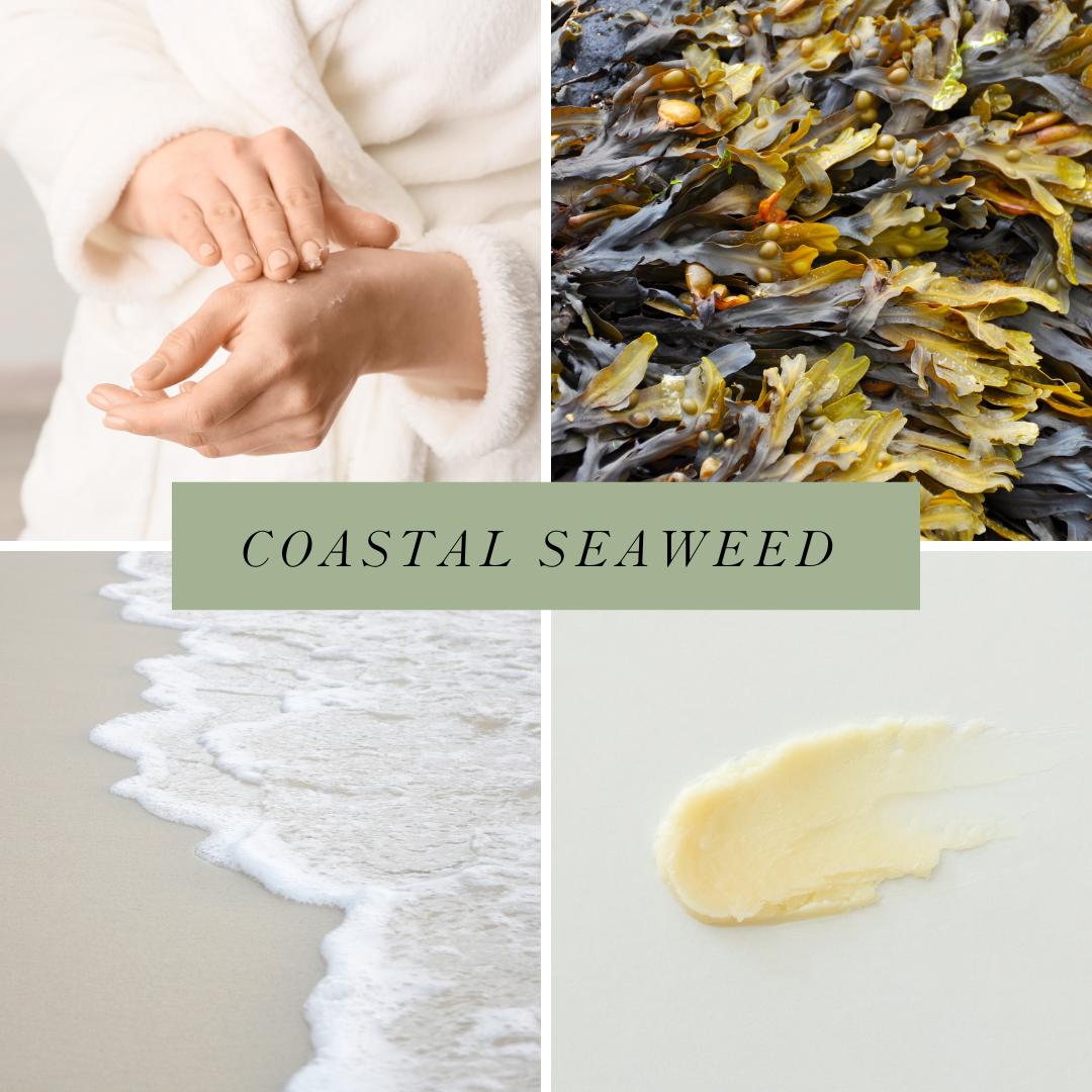 Coastal Seaweed Hand Balm