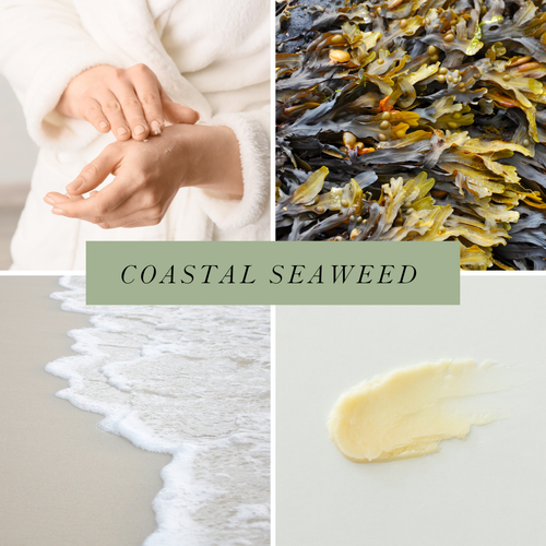 Coastal Seaweed Hand Balm