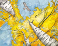 Golden Canopy card: 5" x 7"